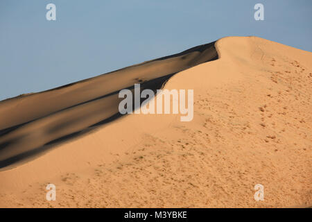 Dunes de Kelso, Californie, USA. 10 fév, 2018. Lever du soleil sur les dunes de sable. Le Kelso dunes de sable couvrent 45 milles carrés et augmenter de 650 pieds au-dessus du sol du désert. Mojave National Preserve a un plus grand champ de dunes de la vallée de la mort et n'a plus d'arbres que Joshua Joshua Tree National Park. Dunes de Kelso, également connu sous le nom de champ de dunes de Kelso, est le plus grand domaine de dépôts de sable éolien dans le désert de Mojave. La région est protégée par le Mojave National Preserve et est situé dans le comté de San Bernardino. Le champ de dunes comprend la migration de la végétation des dunes, des dunes de sable stabilisées, feuilles, sable et les rampes. Banque D'Images