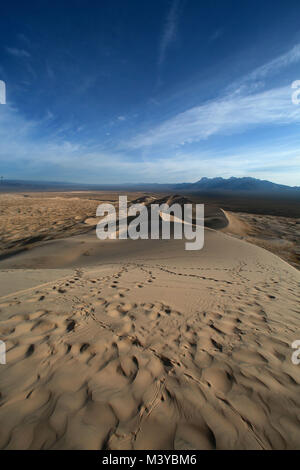 Dunes de Kelso, Californie, USA. 10 fév, 2018. Des pistes d'animaux sillonnent les dunes de sable en début de matinée. Le Kelso dunes de sable couvrent 45 milles carrés et augmenter de 650 pieds au-dessus du sol du désert. Mojave National Preserve a un plus grand champ de dunes de la vallée de la mort et n'a plus d'arbres que Joshua Joshua Tree National Park. Dunes de Kelso, également connu sous le nom de champ de dunes de Kelso, est le plus grand domaine de dépôts de sable éolien dans le désert de Mojave. La région est protégée par le Mojave National Preserve et est situé dans le comté de San Bernardino. Le champ de dunes comprend la migration des dunes, stabilisées par la végétation Banque D'Images