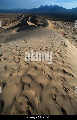 Dunes de Kelso, Californie, USA. 10 fév, 2018. Des pistes d'animaux sillonnent les dunes de sable en début de matinée. Le Kelso dunes de sable couvrent 45 milles carrés et augmenter de 650 pieds au-dessus du sol du désert. Mojave National Preserve a un plus grand champ de dunes de la vallée de la mort et n'a plus d'arbres que Joshua Joshua Tree National Park. Dunes de Kelso, également connu sous le nom de champ de dunes de Kelso, est le plus grand domaine de dépôts de sable éolien dans le désert de Mojave. La région est protégée par le Mojave National Preserve et est situé dans le comté de San Bernardino. Le champ de dunes comprend la migration des dunes, stabilisées par la végétation Banque D'Images