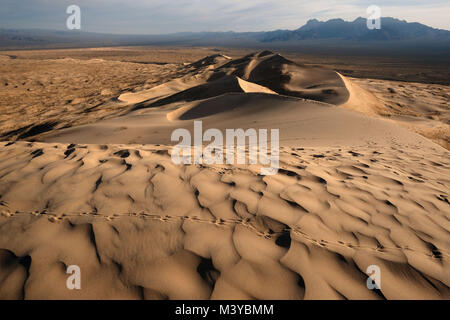 Dunes de Kelso, Californie, USA. 10 fév, 2018. Des pistes d'animaux sillonnent les dunes de sable en début de matinée. Le Kelso dunes de sable couvrent 45 milles carrés et augmenter de 650 pieds au-dessus du sol du désert. Mojave National Preserve a un plus grand champ de dunes de la vallée de la mort et n'a plus d'arbres que Joshua Joshua Tree National Park. Dunes de Kelso, également connu sous le nom de champ de dunes de Kelso, est le plus grand domaine de dépôts de sable éolien dans le désert de Mojave. La région est protégée par le Mojave National Preserve et est situé dans le comté de San Bernardino. Le champ de dunes comprend la migration des dunes, stabilisées par la végétation Banque D'Images