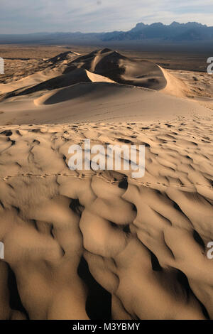 Dunes de Kelso, Californie, USA. 10 fév, 2018. Des pistes d'animaux sillonnent les dunes de sable en début de matinée. Le Kelso dunes de sable couvrent 45 milles carrés et augmenter de 650 pieds au-dessus du sol du désert. Mojave National Preserve a un plus grand champ de dunes de la vallée de la mort et n'a plus d'arbres que Joshua Joshua Tree National Park. Dunes de Kelso, également connu sous le nom de champ de dunes de Kelso, est le plus grand domaine de dépôts de sable éolien dans le désert de Mojave. La région est protégée par le Mojave National Preserve et est situé dans le comté de San Bernardino. Le champ de dunes comprend la migration des dunes, stabilisées par la végétation Banque D'Images