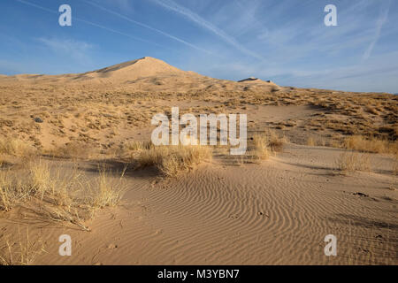 Dunes de Kelso, Californie, USA. 10 fév, 2018. Le Kelso dunes de sable couvrent 45 milles carrés et augmenter de 650 pieds au-dessus du sol du désert. Mojave National Preserve a un plus grand champ de dunes de la vallée de la mort et n'a plus d'arbres que Joshua Joshua Tree National Park. Dunes de Kelso, également connu sous le nom de champ de dunes de Kelso, est le plus grand domaine de dépôts de sable éolien dans le désert de Mojave. La région est protégée par le Mojave National Preserve et est situé dans le comté de San Bernardino. Le champ de dunes comprend la migration de la végétation des dunes, des dunes de sable stabilisées, feuilles, sable et les rampes. Les dunes les plus hautes s'élèvent Banque D'Images