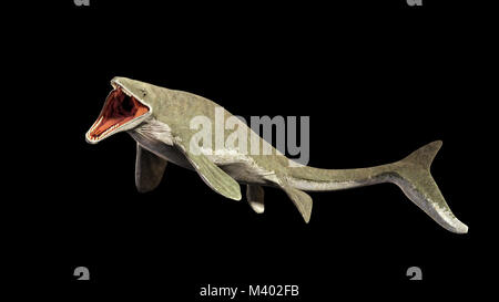 Liopleurodon géant éteint, lézard aquatique (3d illustration isolé sur fond noir) Banque D'Images