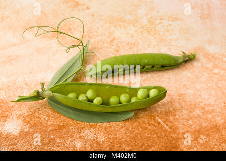 Libre de peapod ou pea pod y compris le carpelle seeds Banque D'Images