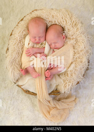 Nouveau-né adorable bébé jumeau identique pour dormir dans un panier Banque D'Images