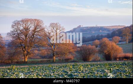 Cotswold matin en hiver. Chipping Campden, Gloucestershire, Angleterre. Banque D'Images