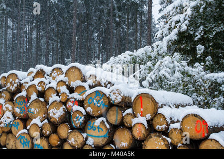 Holzpolter im Winter Banque D'Images