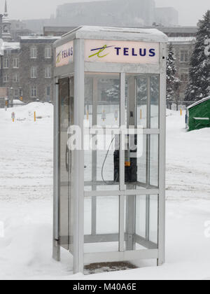 Québec,Canadam cabine téléphonique Telus à Montréal. Banque D'Images