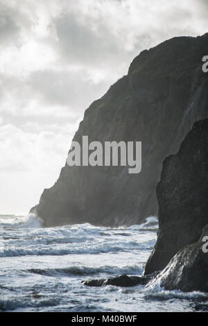 Des affleurements rocheux à Ruby Beach, Washington, sur la côte du Pacifique. Banque D'Images