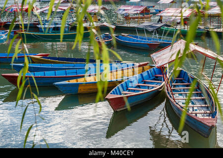 Bateaux colorés sur le Lac Phewa, Pokhara, Népal Banque D'Images