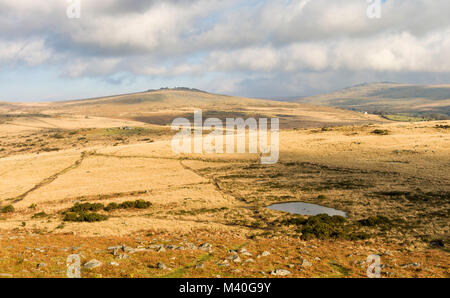 Paysage de landes vue depuis le haut de Pew Tor, Dartmoor National Park, Devon, UK. Banque D'Images