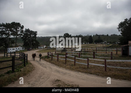 Après avoir terminé la formation pour la journée Réserver Le s.. Lauren Daniels et le cavalier, un cheval militaire, marcher jusqu'à l'équitation à la Vandenberg Saddle Club près de Vandenberg Air Force Base, en Californie. (U.S. Air Force photo/Le s.. Andrew Lee) 150327-F-NL936-750 par AirmanMagazine Banque D'Images