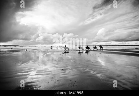 L'équitation sur une plage à marée basse avec un ciel dramatique. En noir et blanc Banque D'Images