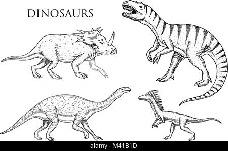 Les dinosaures Tyrannosaurus rex, Velociraptor, Ceratosaurus, Afrovenator Megalosaurus, Tarbosaurus, Struthiomimus, squelettes, fossiles. Reptiles préhistoriques, Animal vecteur dessiné à la main gravée Illustration de Vecteur