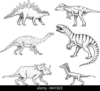 Jeu de dinosaures, tricératops, tyrannosaure rex, Barosaure, Stégosaure, Pachycephalosaurus, deinonychus, squelettes, fossiles. Reptiles préhistoriques, Animal vecteur dessiné à la main. Illustration de Vecteur