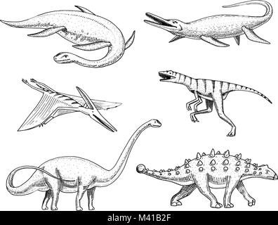 Les dinosaures Elasmosaurus, Mosasaurus, Barosaurus, Diplodocus, ptérosaures, Ankylosaurus, Velociraptor, fossiles, lézard ailé. American reptiles préhistoriques, gravé des animaux du jurassique Hand drawn vector. Illustration de Vecteur