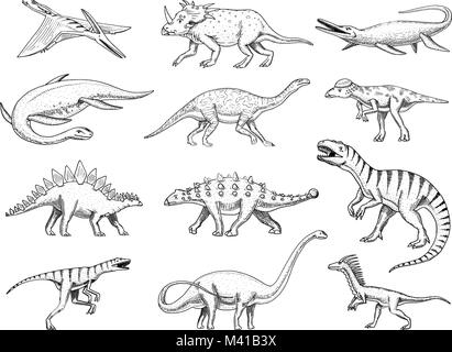 Jeu de dinosaures, Tyrannosaurus rex, Triceratops, Barosaurus, Diplodocus, Velociraptor, tricératops Stégosaure, squelettes, fossiles. Reptiles préhistoriques, Animal vecteur dessiné à la main. Illustration de Vecteur