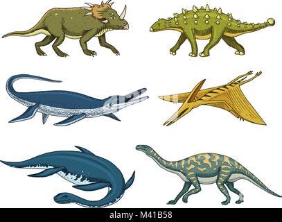 Les dinosaures Elasmosaurus, Mosasaurus, Barosaurus, Diplodocus, ptérosaures, Ankylosaurus, Velociraptor, fossiles, lézard ailé. American reptiles préhistoriques, gravé des animaux du jurassique Hand drawn vector. Illustration de Vecteur