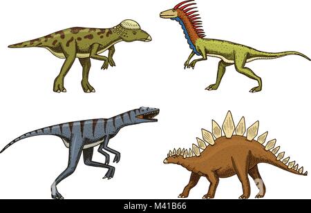 Petits dinosaures, deinonychus, stégosaure, velociraptor, pachycephalosaurus, squelettes, fossiles. Reptiles préhistoriques, Animal vecteur dessiné à la main. Illustration de Vecteur