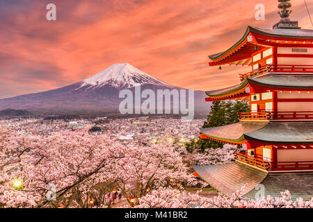 Fujiyoshida, Japon Paysage de printemps avec Mt. Fuji et la Pagode de la paix. Banque D'Images