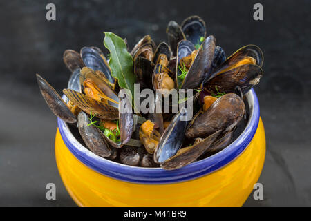 Moule bleue française avec des herbes dans un jaune. Des fruits de mer en arrière-plan foncé Banque D'Images