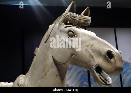 Gros plan de la tête d'un cheval de cavalerie du Premier Empereur de Chine et les guerriers de terre cuite Exposition sur l'affichage à l'World Museum, Liverpool. Banque D'Images