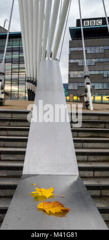 Acer les feuilles d'automne sur le pont en acier inoxydable Support, Salford Quays Banque D'Images