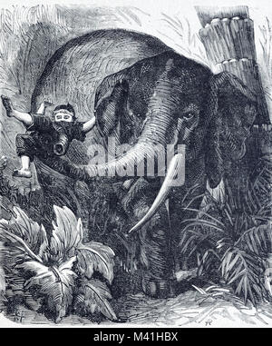 L'éléphant de forêt d'Afrique, Loxodonta cyclotis, attaquer à la main dans la forêt du Gabon dans le bassin du Congo, l'Afrique de l'Ouest (gravure 1879) Banque D'Images