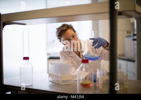 Female scientist travaillant dans un laboratoire scientifique. Banque D'Images