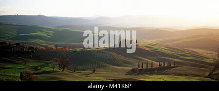 Italie, Toscane, Province de Sienne, paysage avec des crêtes, cyprès Banque D'Images