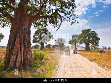 Les arbres de l'Afrique de l'énorme et jeeps safari en Tanzanie, Afrique. Banque D'Images