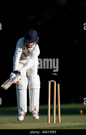 Batteur de cricket d'être renversées. Banque D'Images