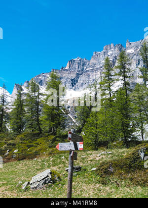 Vue paysage dans les spectaculaires angles de l'Alp Devero dans une journée ensoleillée, Alpi Lepontine, paysage de montagne d'été Banque D'Images