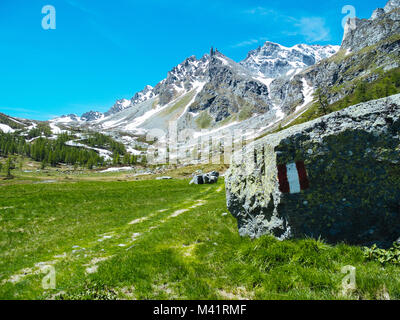 Vue paysage dans les spectaculaires angles de l'Alp Devero dans une journée ensoleillée, Alpi Lepontine, paysage de montagne d'été Banque D'Images