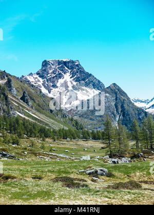 Vue paysage dans les spectaculaires angles de l'Alp Devero dans une journée ensoleillée, Alpi Lepontine, paysage de montagne d'été Banque D'Images