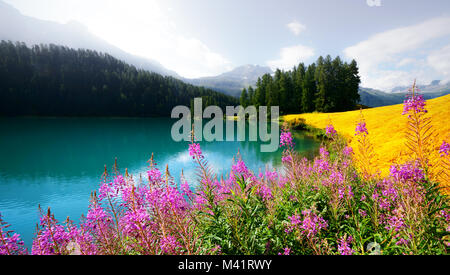 Incroyable journée ensoleillée à Champferersee lac dans les Alpes Suisses Banque D'Images