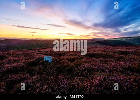 Photograps de la campagne du Northumberland au cours de la fin de l'été/début de l'automne. Banque D'Images