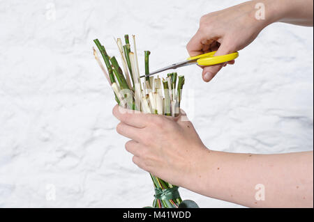 Bouquets de fleurs d'être organisés pour une occasion spéciale comme la Saint-Valentin. Coupe femme les tiges des fleurs après les arrangeant. Banque D'Images