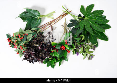 Bouquets de fleurs d'être organisés pour une occasion spéciale comme la Saint-Valentin. Banque D'Images