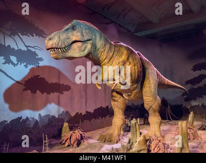 Tyrannosaurus rex. T.Rex animatronique dans la galerie des dinosaures, Natural History Museum, Londres. Banque D'Images