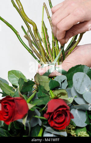 Bois de fleurs d'être organisés pour une occasion spéciale comme la Saint-Valentin. Lier la femme tiges de roses ensemble afin de les maintenir en place. Banque D'Images