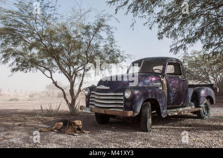 Un alsacien chien couché en face d'une vieille camionnette mauve dans le désert d'Atacama au Chili Banque D'Images