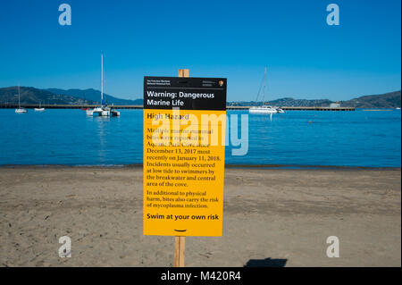 San Francisco, CA - 03 février : les nageurs disant de se méfier de la vie marine. Cet après plusieurs nageurs sur une période de 3 semaines ont été peu Banque D'Images