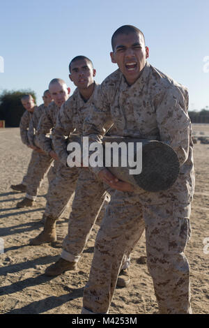 En Recrutement de la compagnie Kilo, 3e Bataillon d'instruction des recrues, effectuer des exercices de journal au Marine Corps Recruter Depot San Diego, le 22 janvier. Chaque exercice a aidé à élaborer des recrues endurance cardiovasculaire et préparer de futures activités physiques. Chaque année, plus de 17 000 hommes recrutés dans la région de recrutement de l'Ouest sont formés à MCRD San Diego. La Compagnie Kilo est prévue pour mars 16 diplômés. Banque D'Images