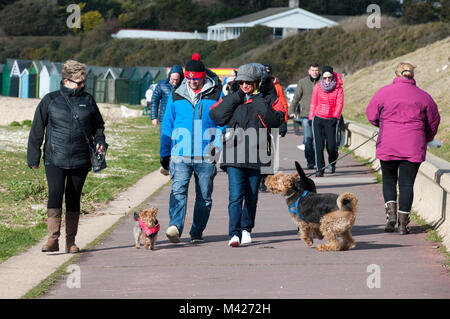 Dog Walkers profitant du soleil d'hiver sur la promenade à Lee-on-the-Solent, Hampshire, England, UK Banque D'Images