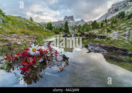 Mont Averau, Lago di Limedes, Dolomites, Veneto, Italie. Averau se reflète dans Limedes lake Banque D'Images