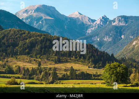 Alpes Juliennes incroyable paysage en été. Détail d'une région autour du lac de Bohinj en Slovénie. Banque D'Images