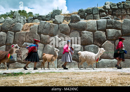 Pérou, Cusco, Cuzco, Saqsayhuaman, Sacsayhuaman, Sacsaywaman. Les femmes indiennes avec des lamas et alpagas. Unesco World Heritage Site. Banque D'Images