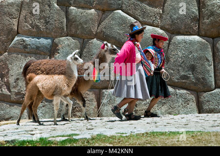 Pérou, Cusco, Cuzco, Saqsayhuaman, Sacsayhuaman, Sacsaywaman. Ruines. Unesco World Heritage Site. Les femmes indiennes et bébé avec des lamas. Banque D'Images