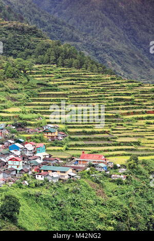 Les terrasses de riz et village perché sur la falaise au-dessus de la vallée de la rivière dans Talubin Bay-yo barangay le long de la route de Banaue. Bontoc municipalité-Montagne p Banque D'Images